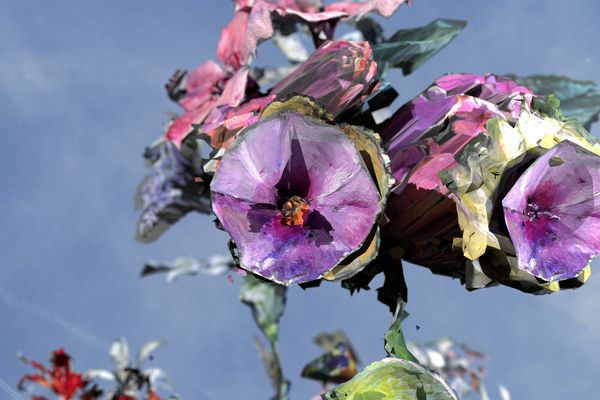 Nothing but Flowers: the immersive flourishing universe of Lauren Moffatt